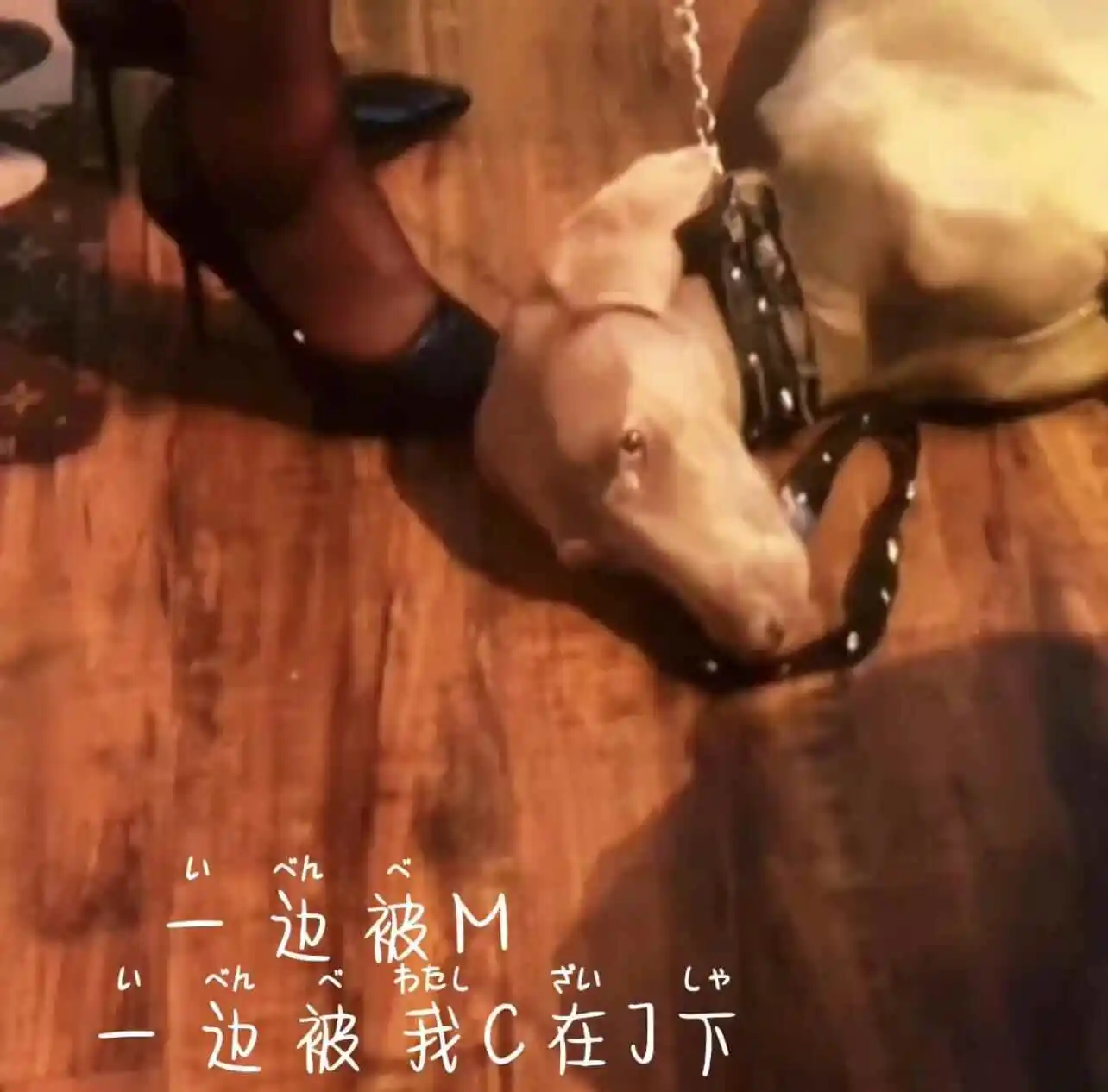 西檬之家探索DS关系:如何理解支配与臣服的艺术? 一