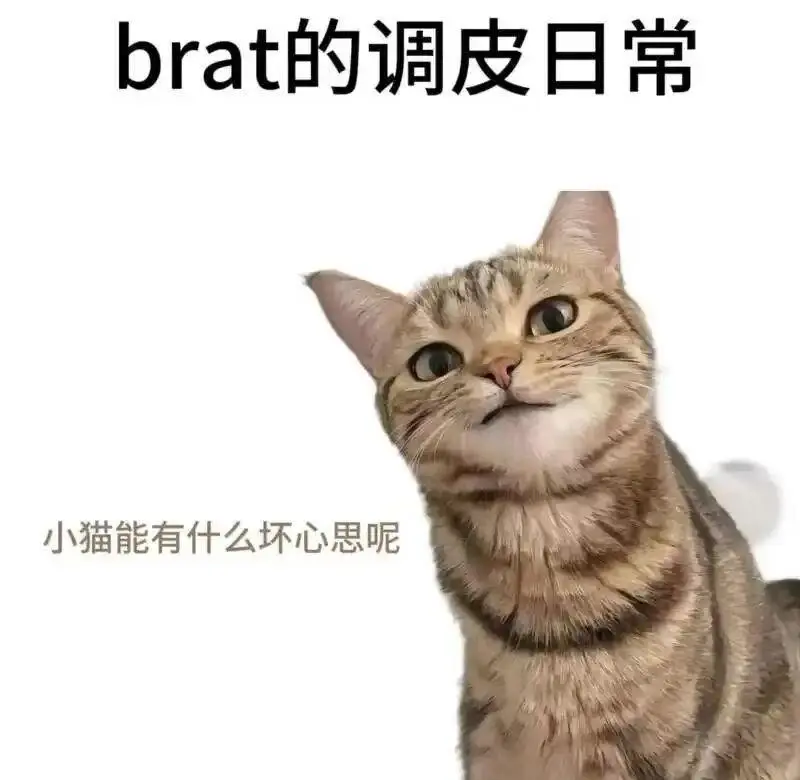 西檬之家BDSM是怎样的体验?新手入圈指南解析 一