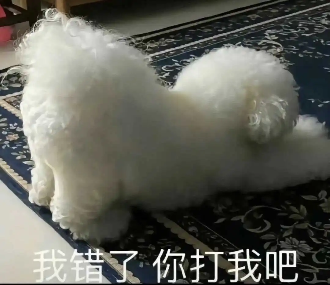 西檬之家字母圈入圈指南:新手必须了解的基本知识与技巧 一