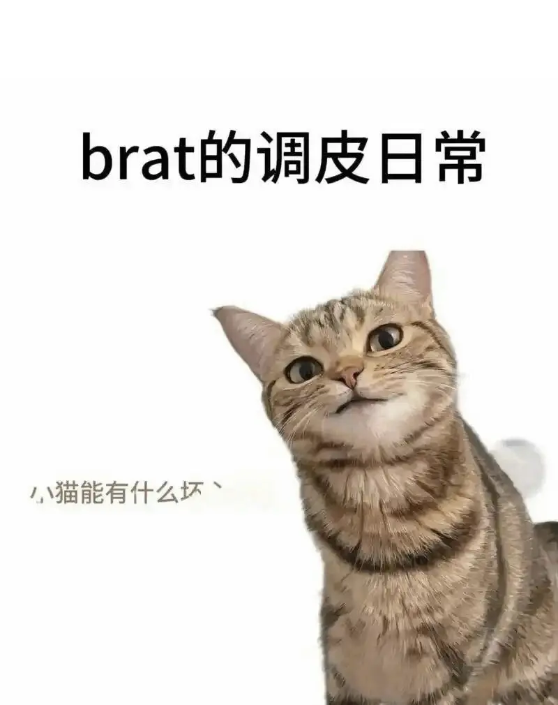 西檬之家字母圈Aftercare是什么 一