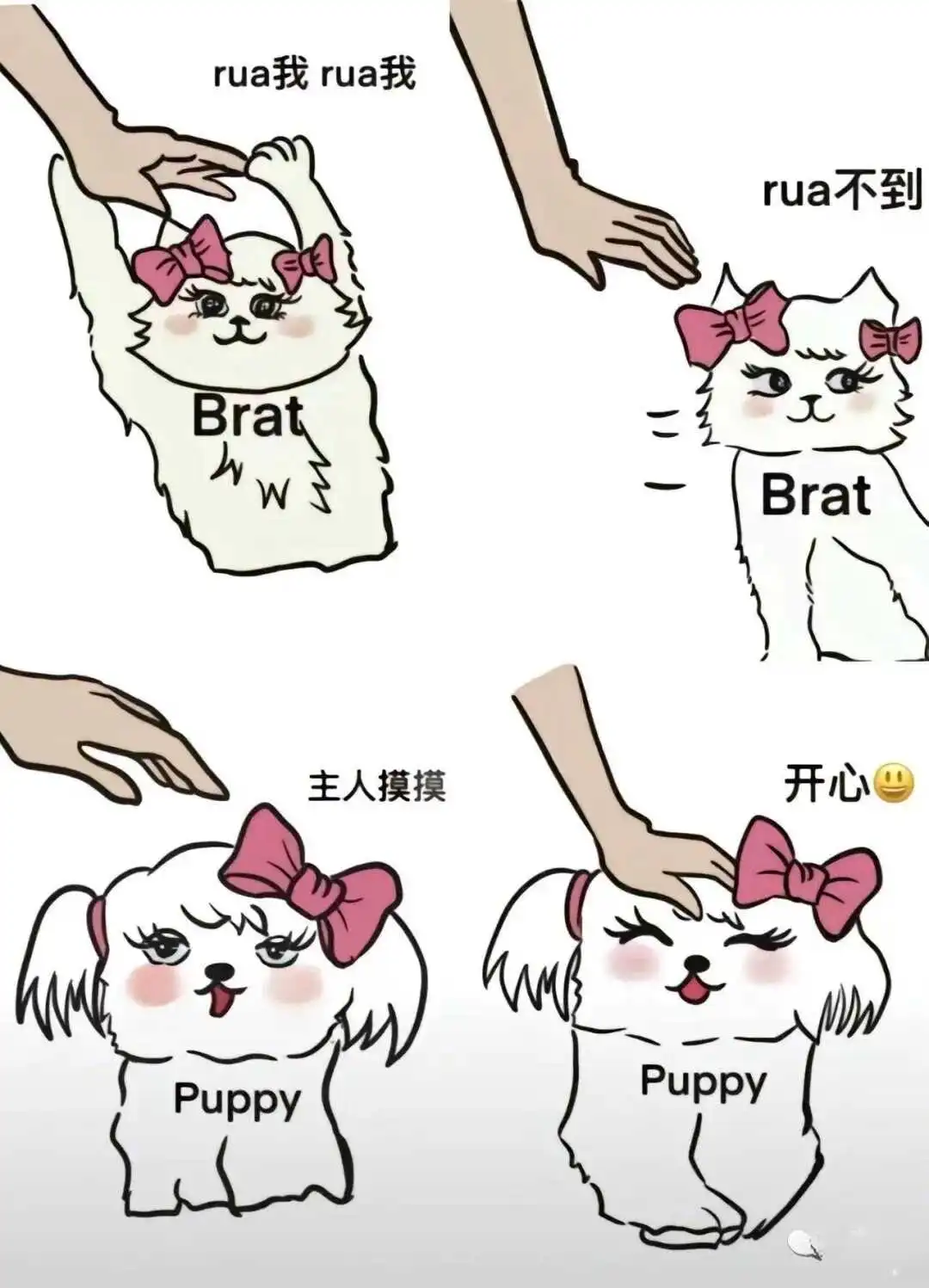 西檬之家斯慕圈是什么?新人如何入圈 一