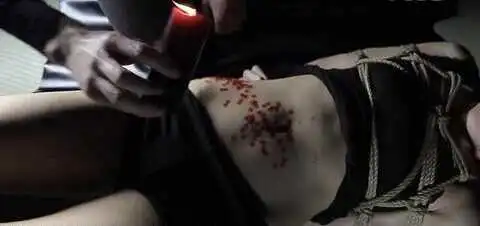 西檬之家BDSM是什么 一