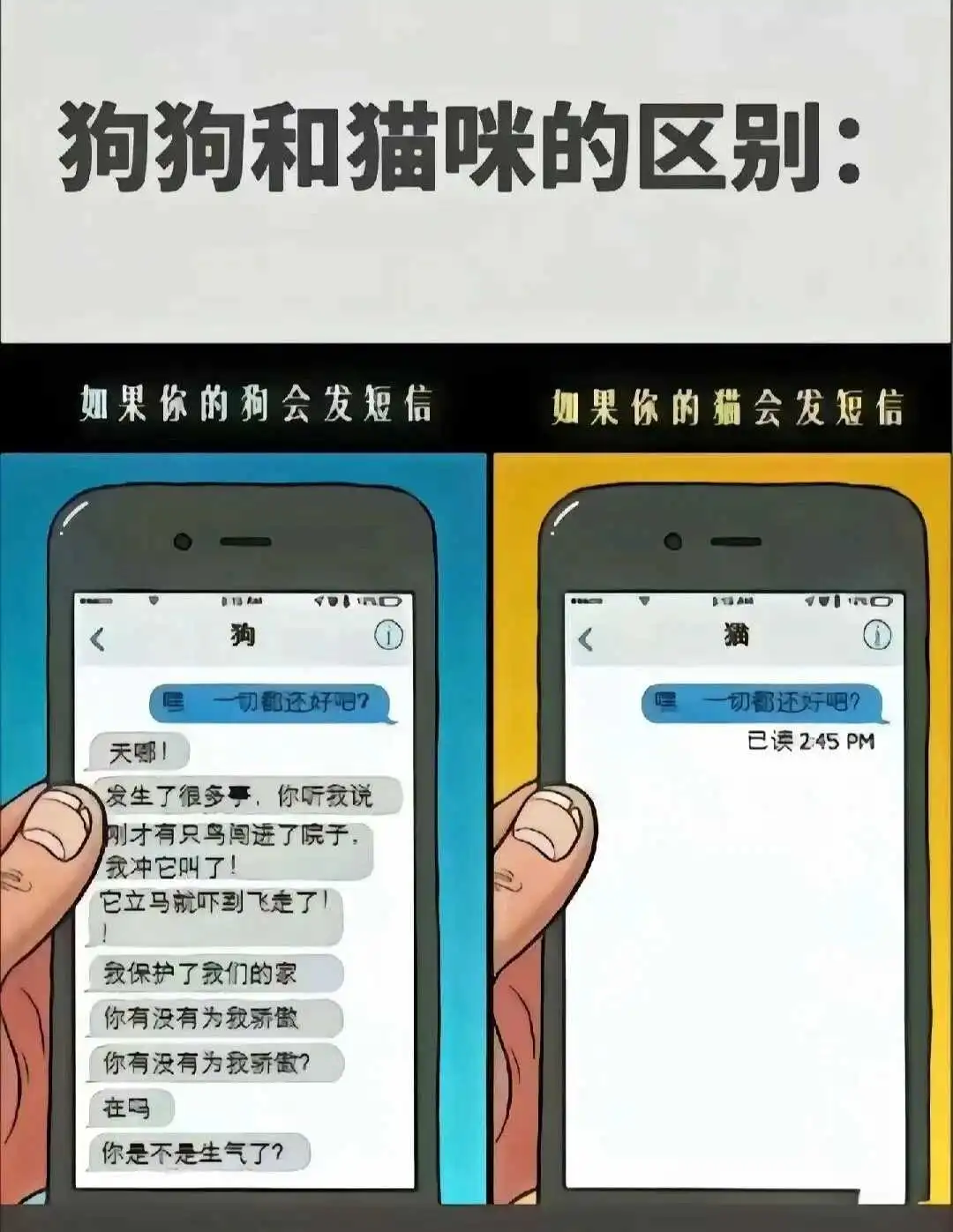 西檬之家K8是什么?字母圈宠物扮演解析 一
