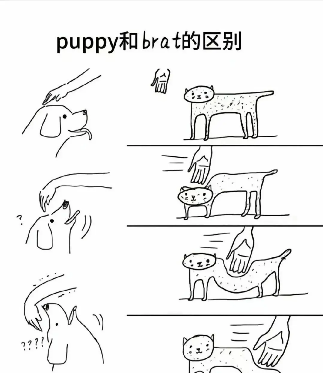 西檬之家k8是什么?你的猫系属性是什么? 一